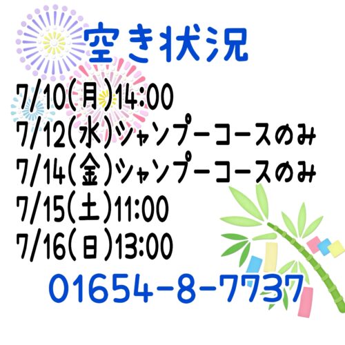 トリミング空き状況！