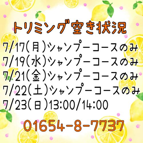 トリミング空き状況！