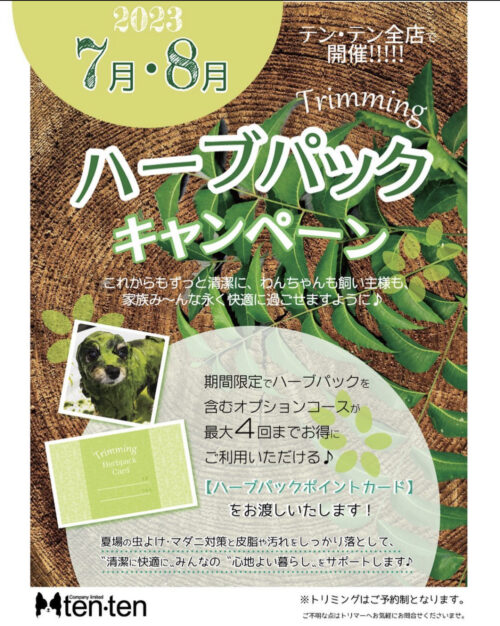 ハーブパックのお得なお知らせです。