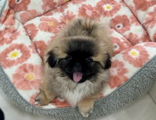 お家が決まりました!!