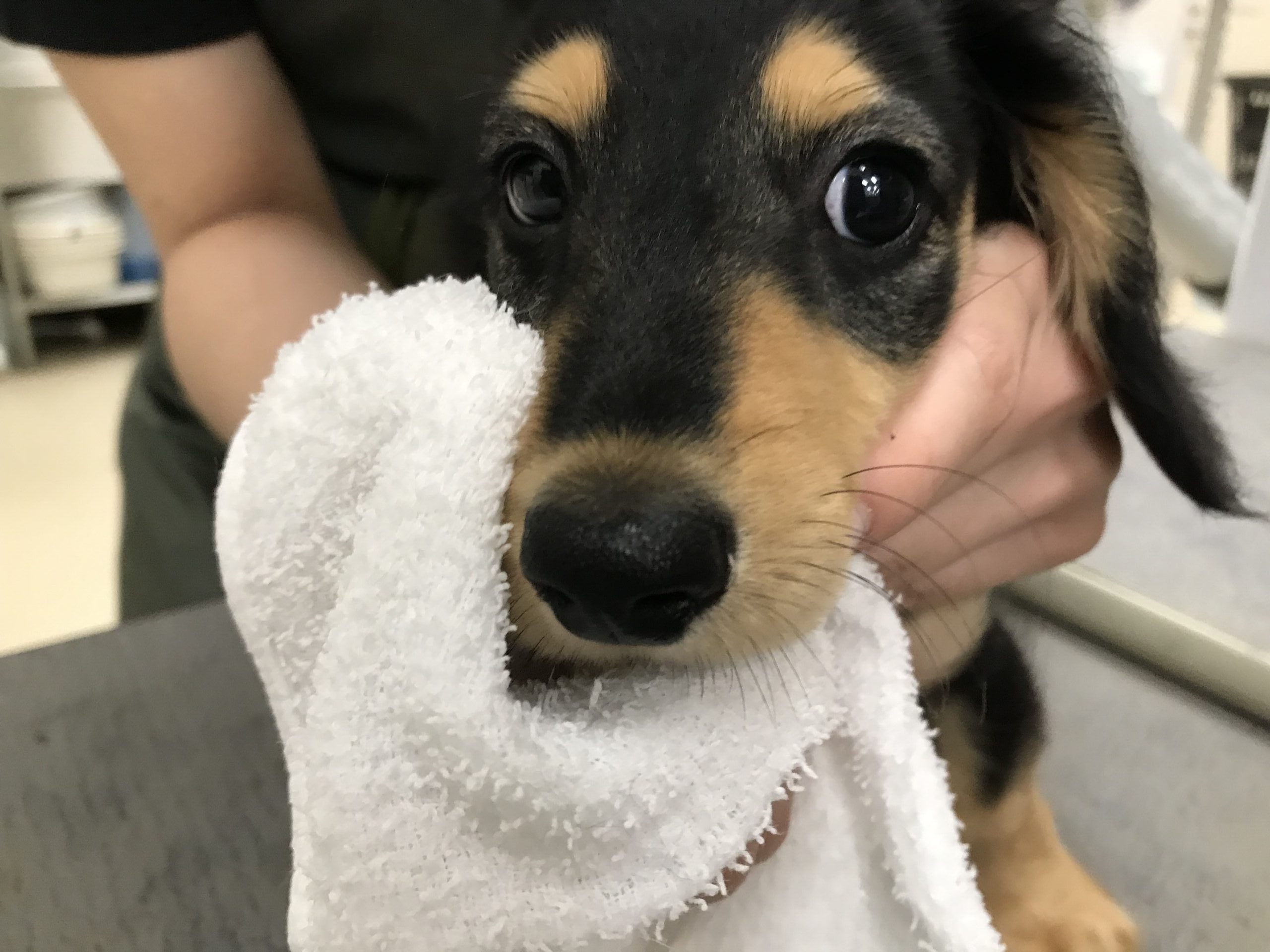お手入れしたよ☆