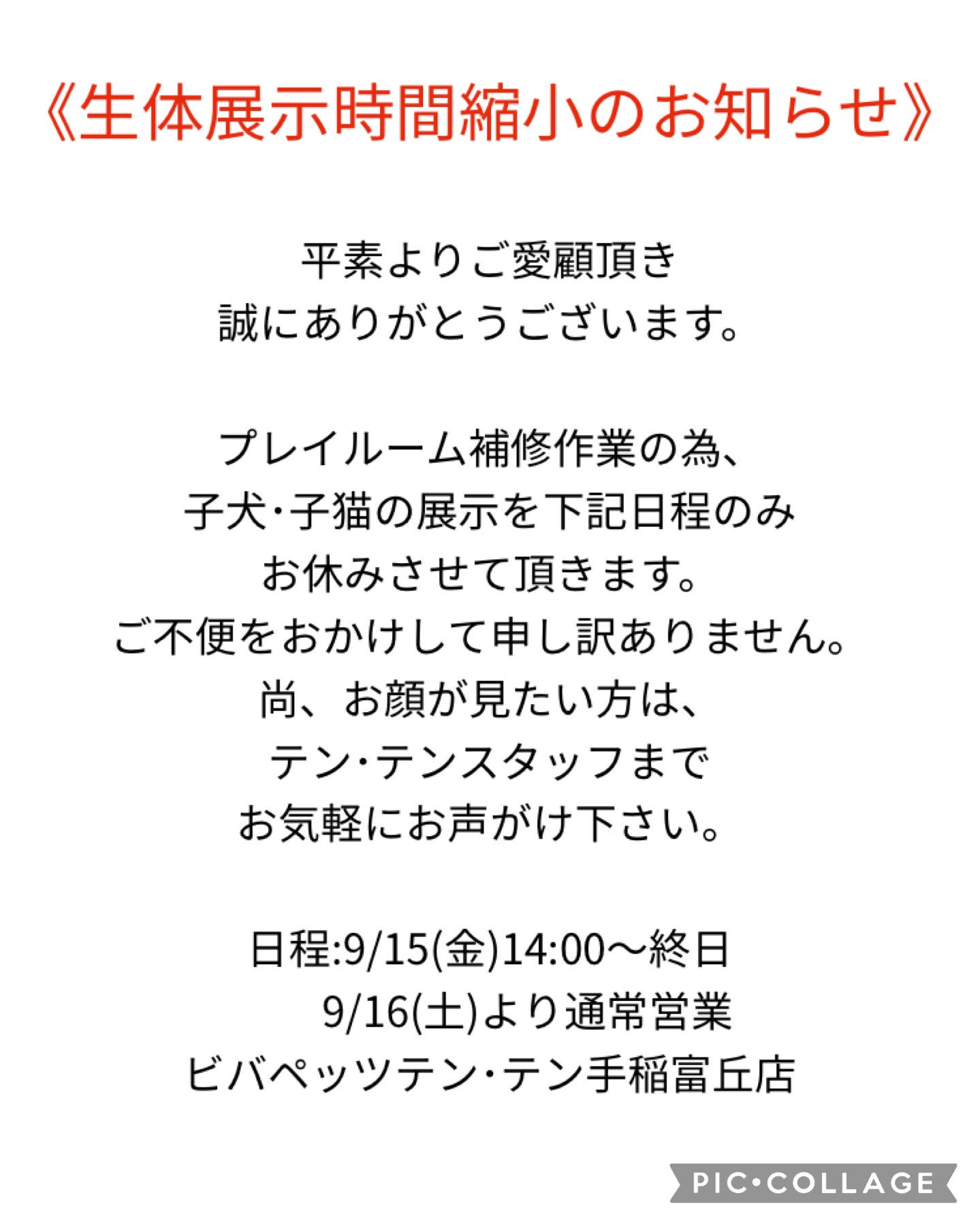 お知らせ。