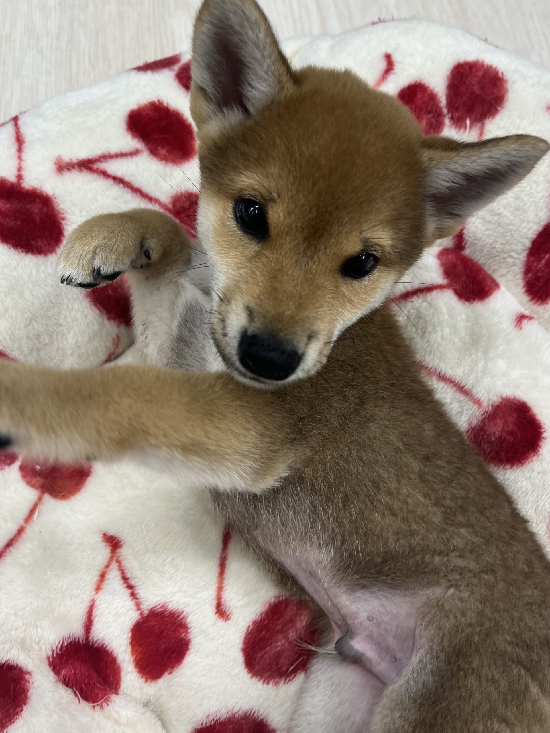 ☆★☆★川沿店の仲間をご紹介★☆★☆