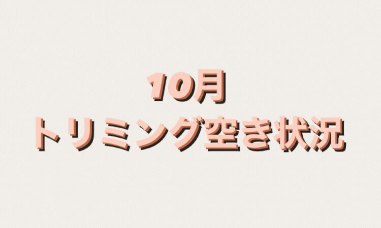 🫧10月トリミング空き状況のお知らせ🫧