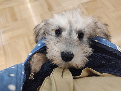 ♡スリングデビュー♡