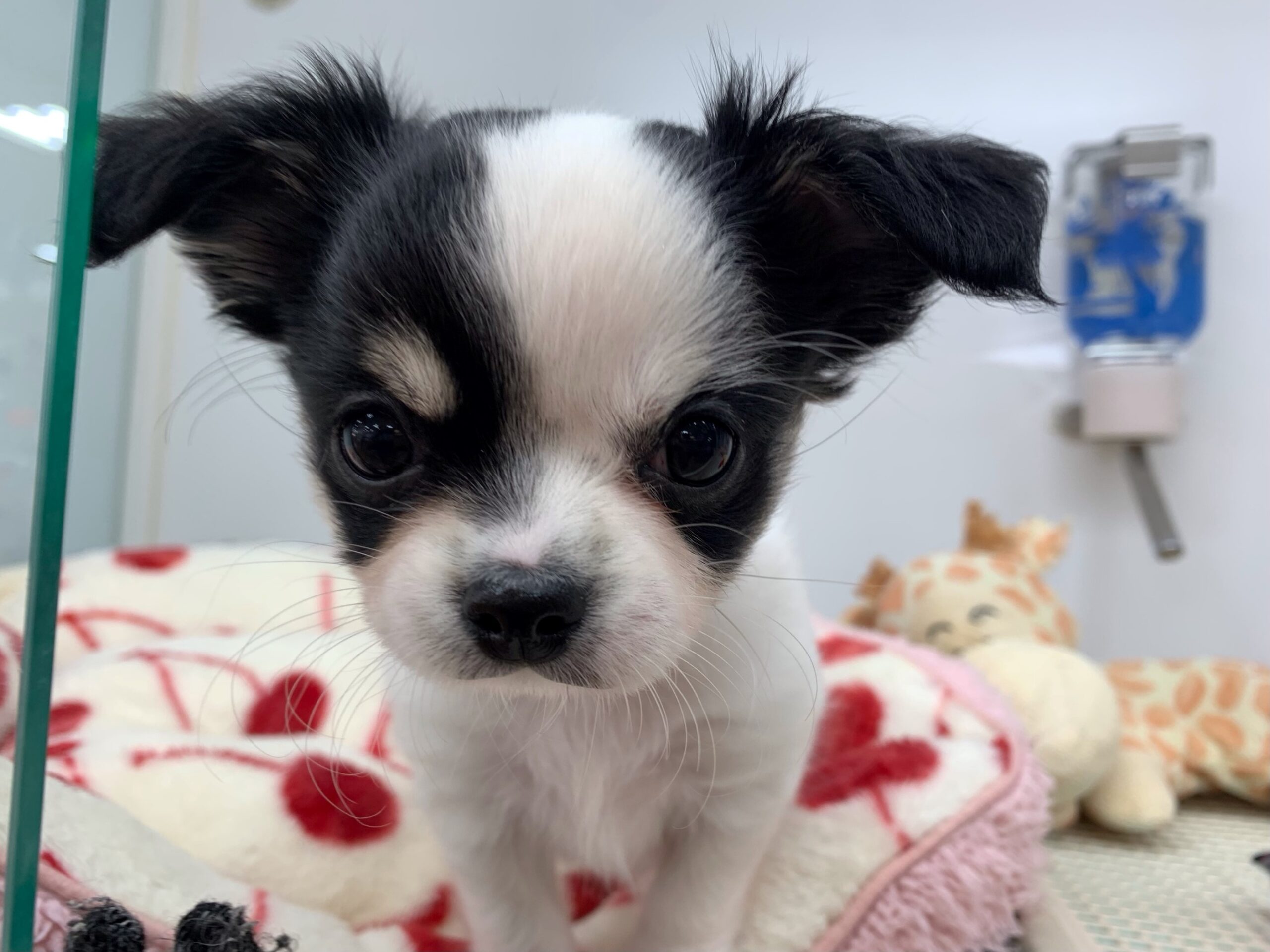 沢山のご来店ありがとうございました♡