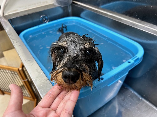 初めての炭酸泉🛁