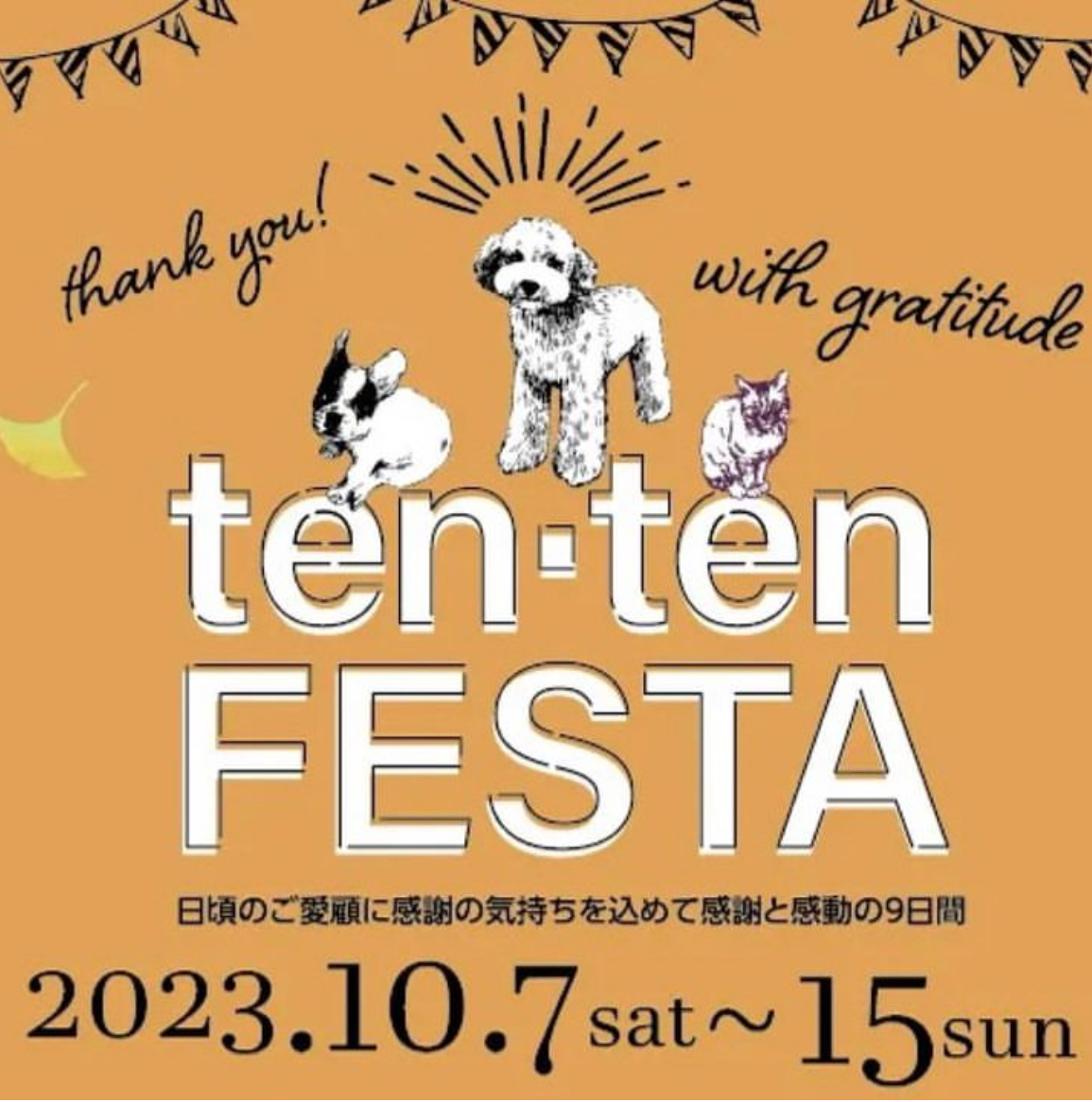 ★tenten TESTA★