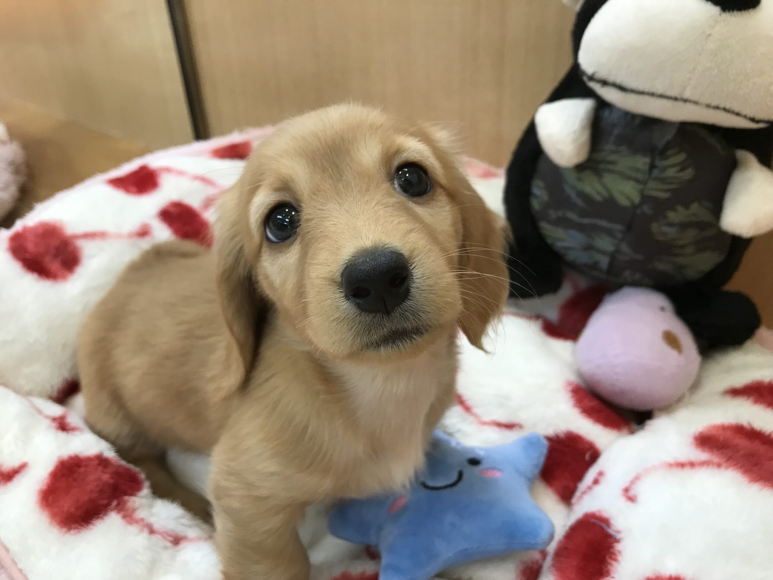 ☆☆ちーたん卒業＆バトンタッチ☆☆