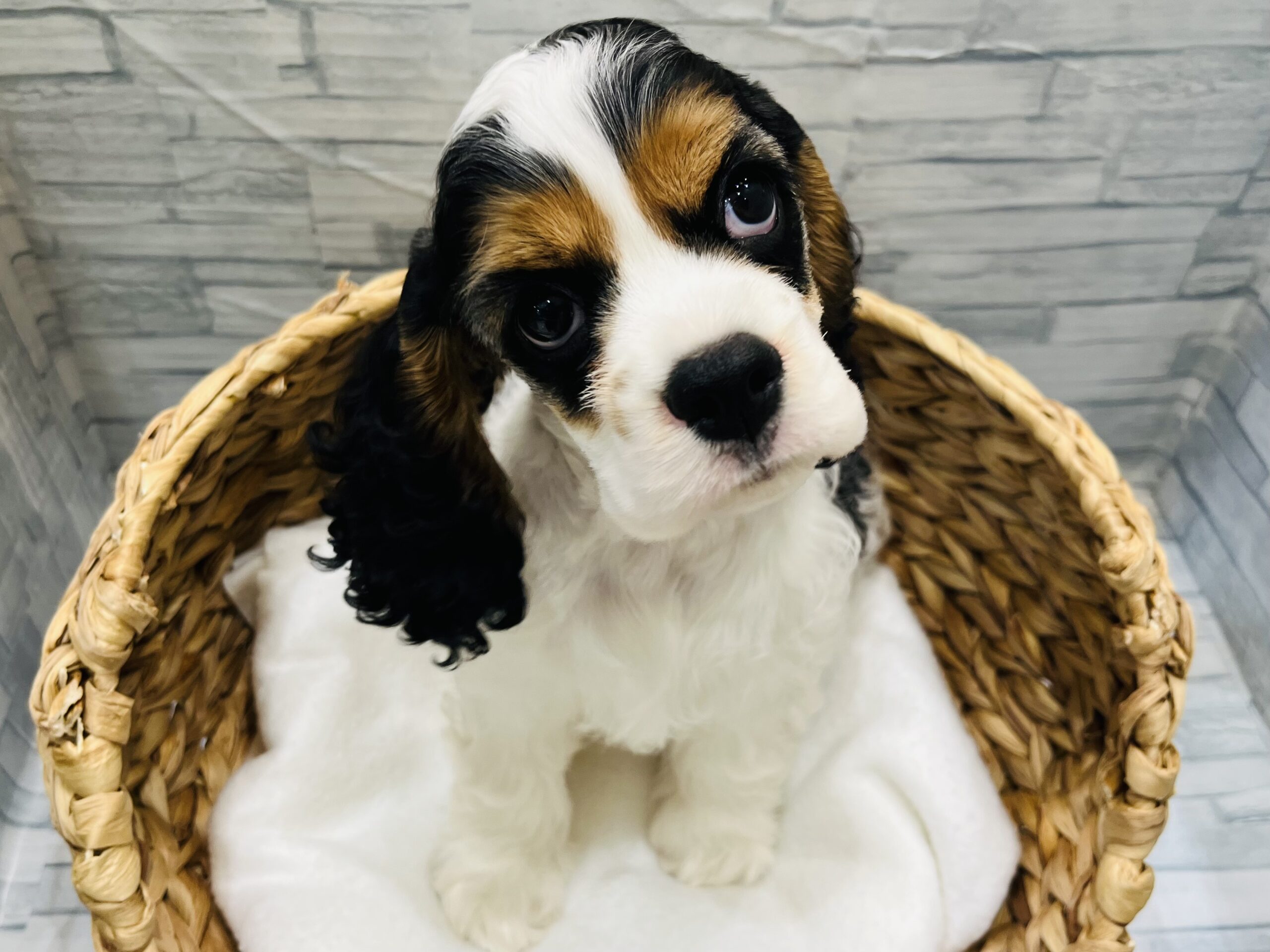 バトンタッチ♪