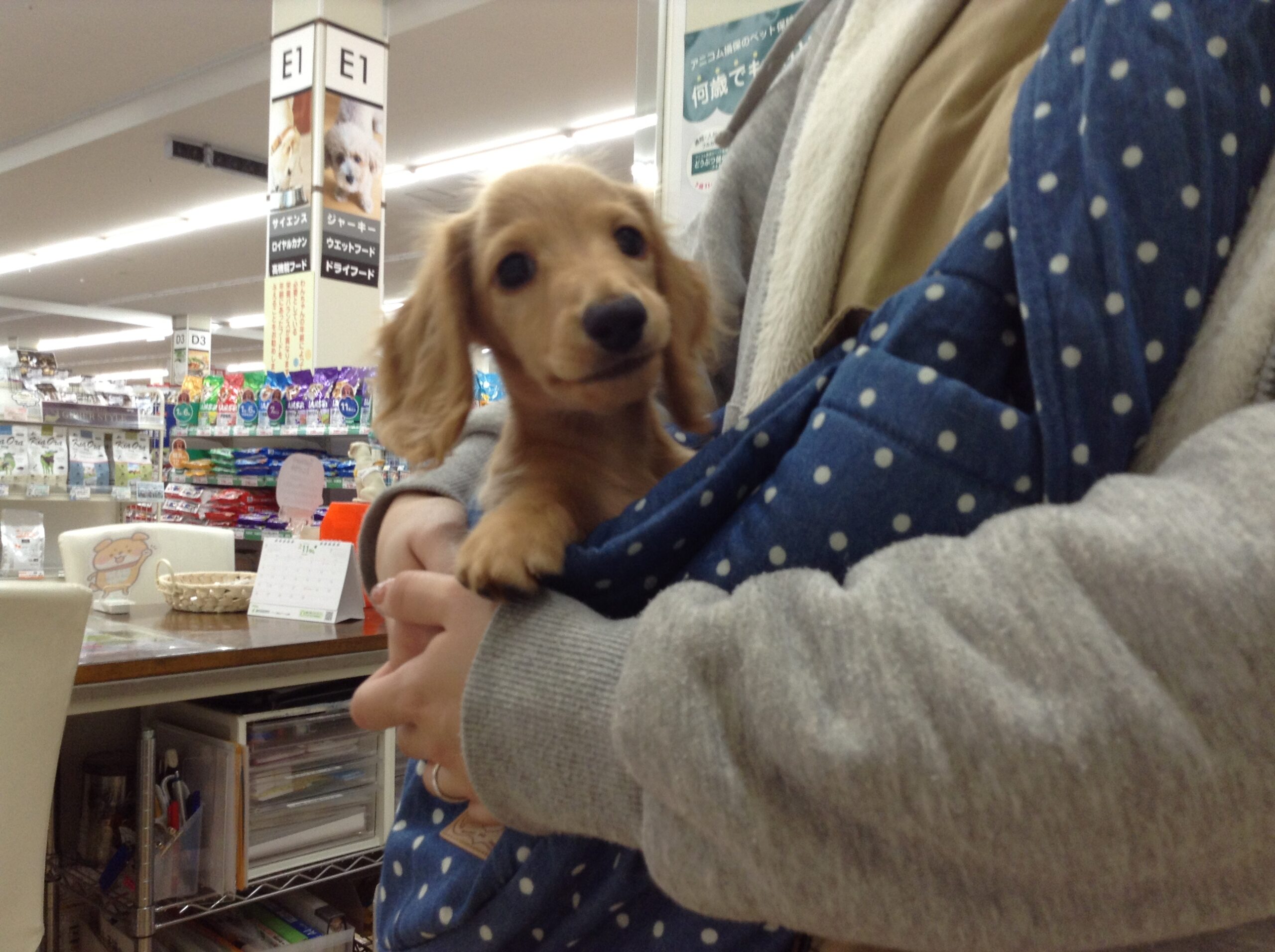 ♡スリングデビュー♡