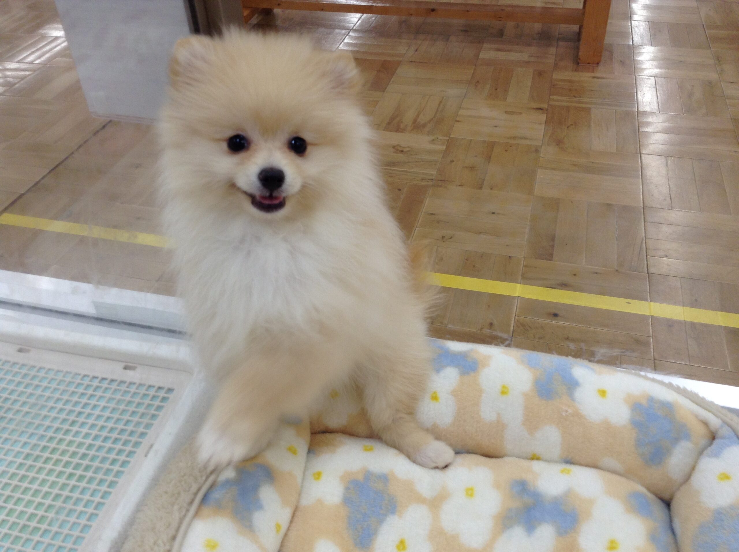 お家が決まりました💗