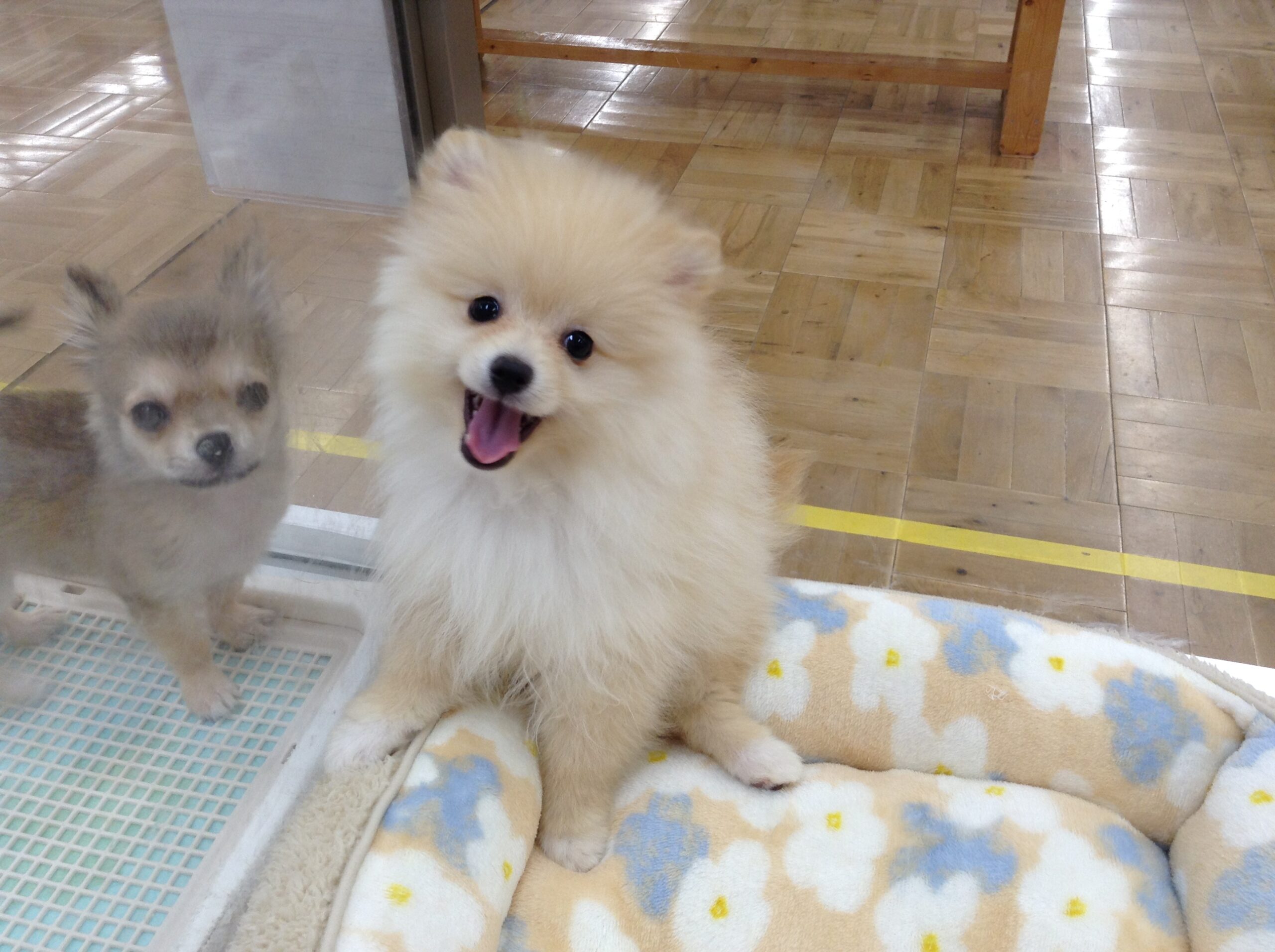 ☆バトンタッチ☆