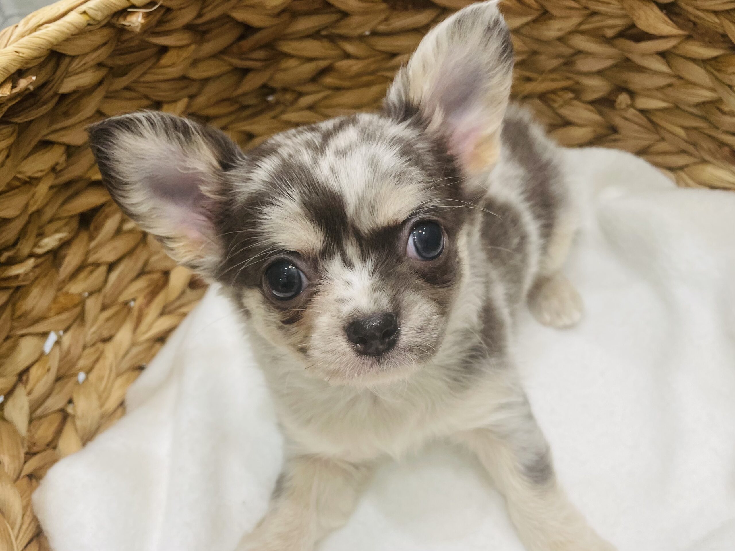 お家が決まりました🏠✨