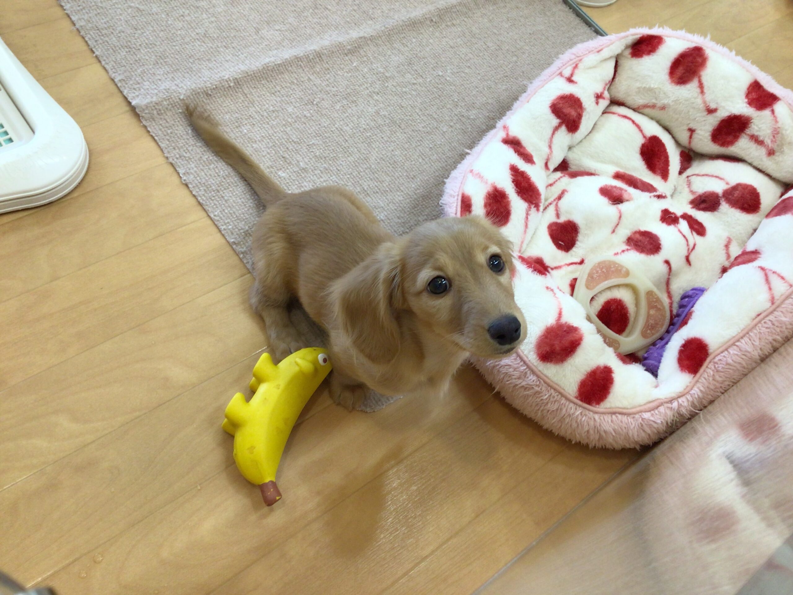 ☆☆だっちゃん撮影☆☆