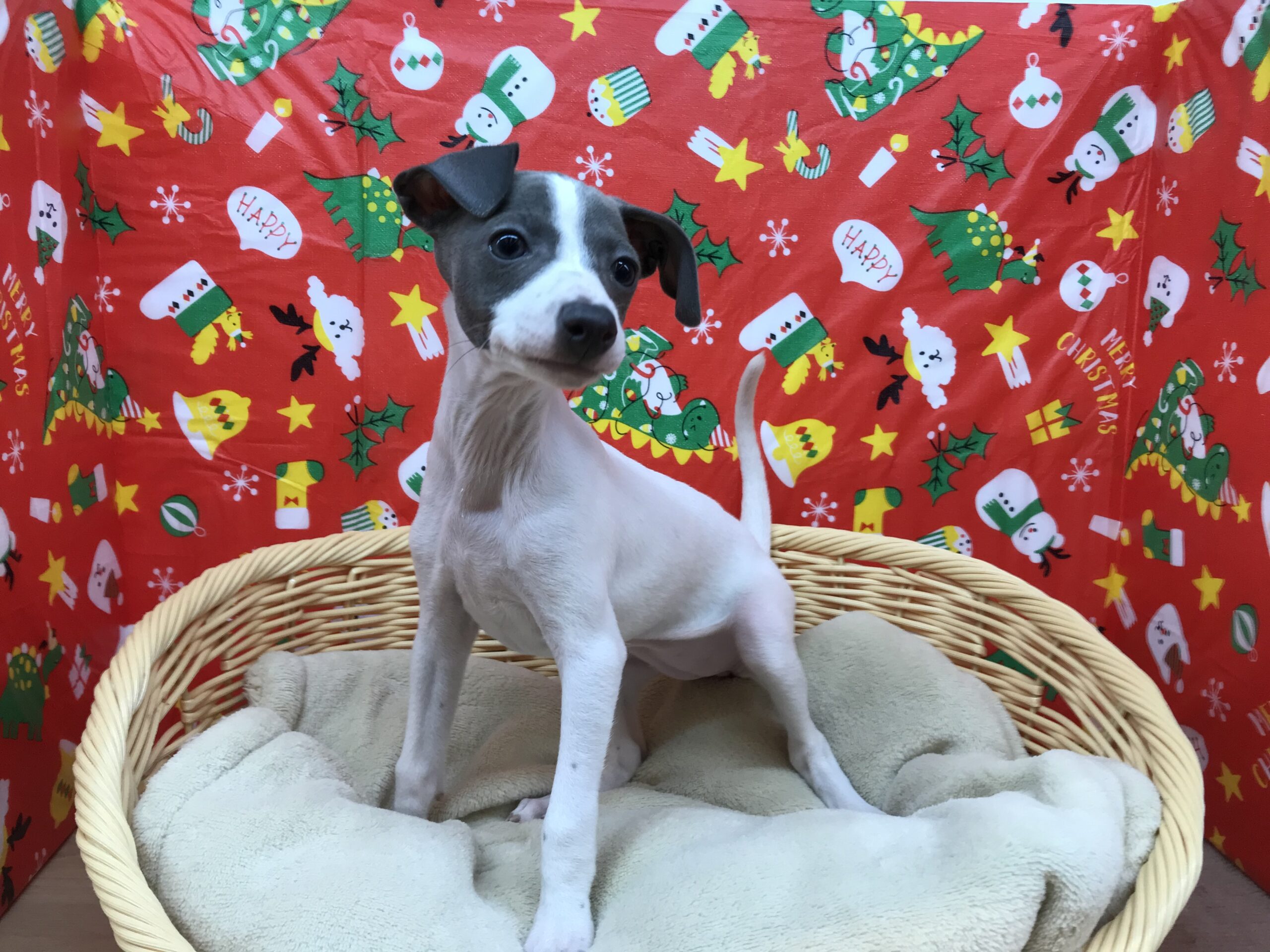 ☆当店１？の美脚☆