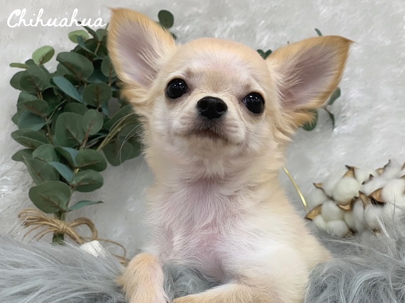 ☆北４１条店メンバー紹介☆