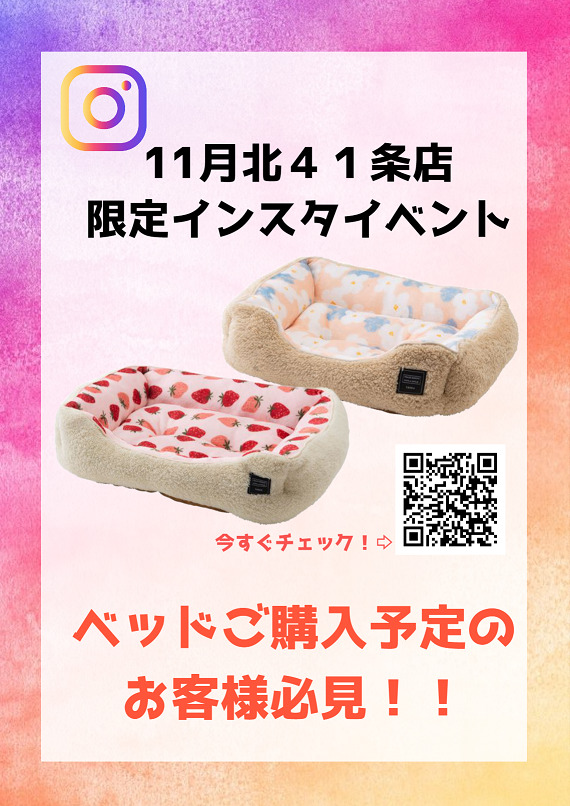 ★秋冬ベッドをご検討の方へ朗報！★