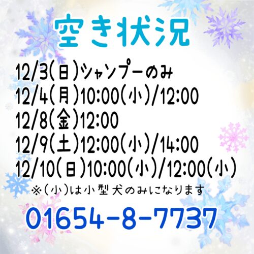 トリミング空き状況！