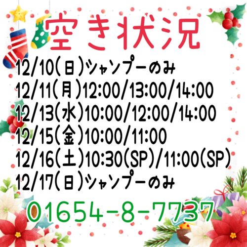 トリミング空き状況！