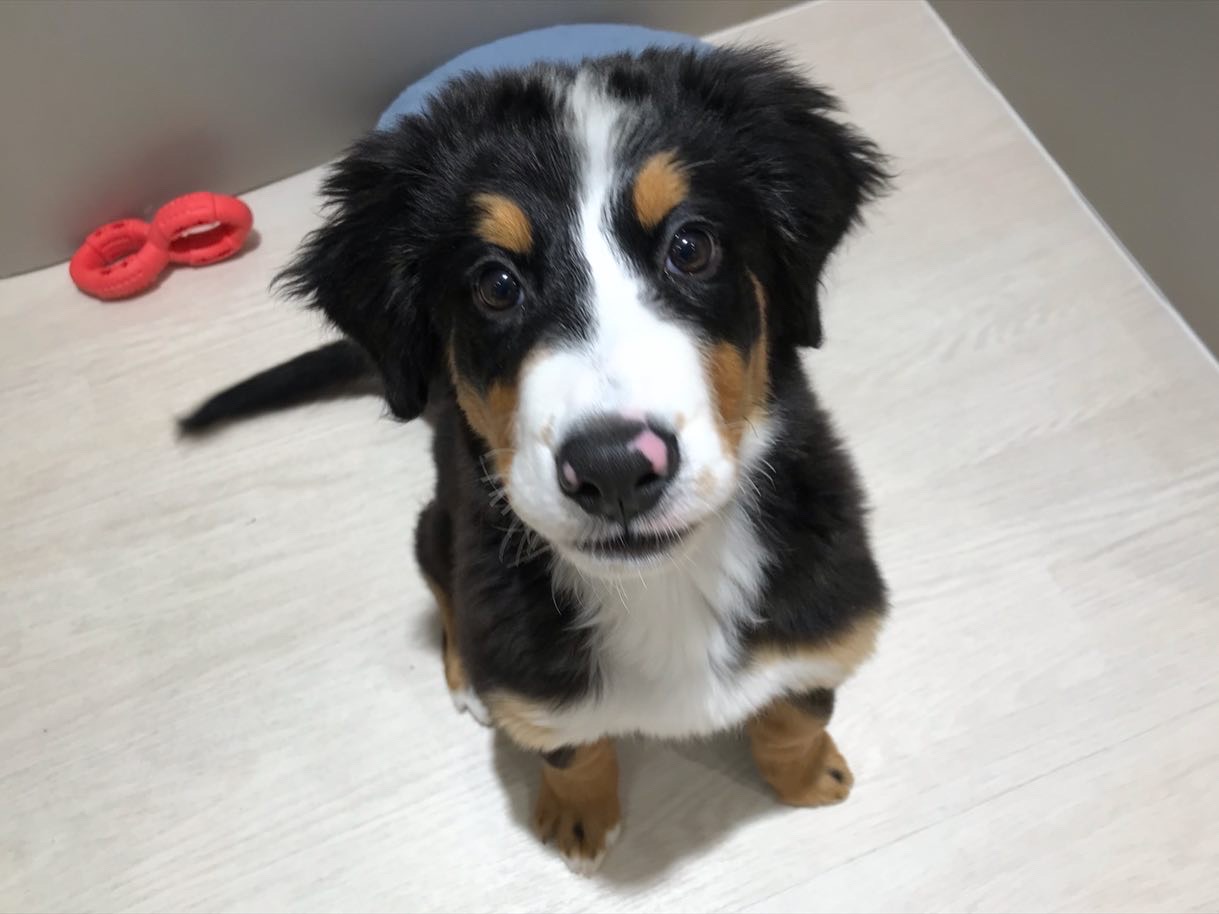 ☆バニ子の魅力☆