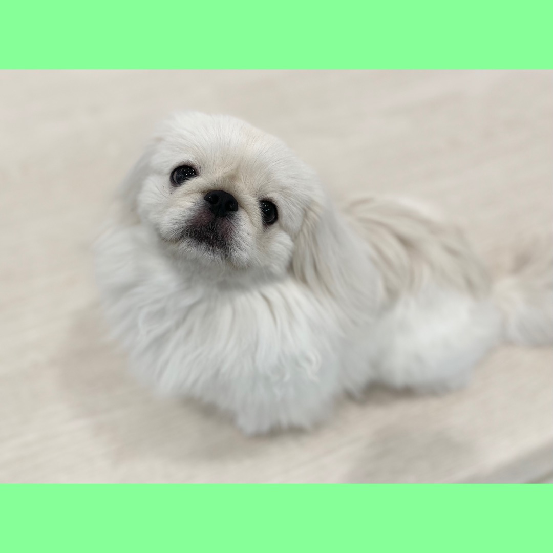 🐾💙お久しぶりです💙🐾