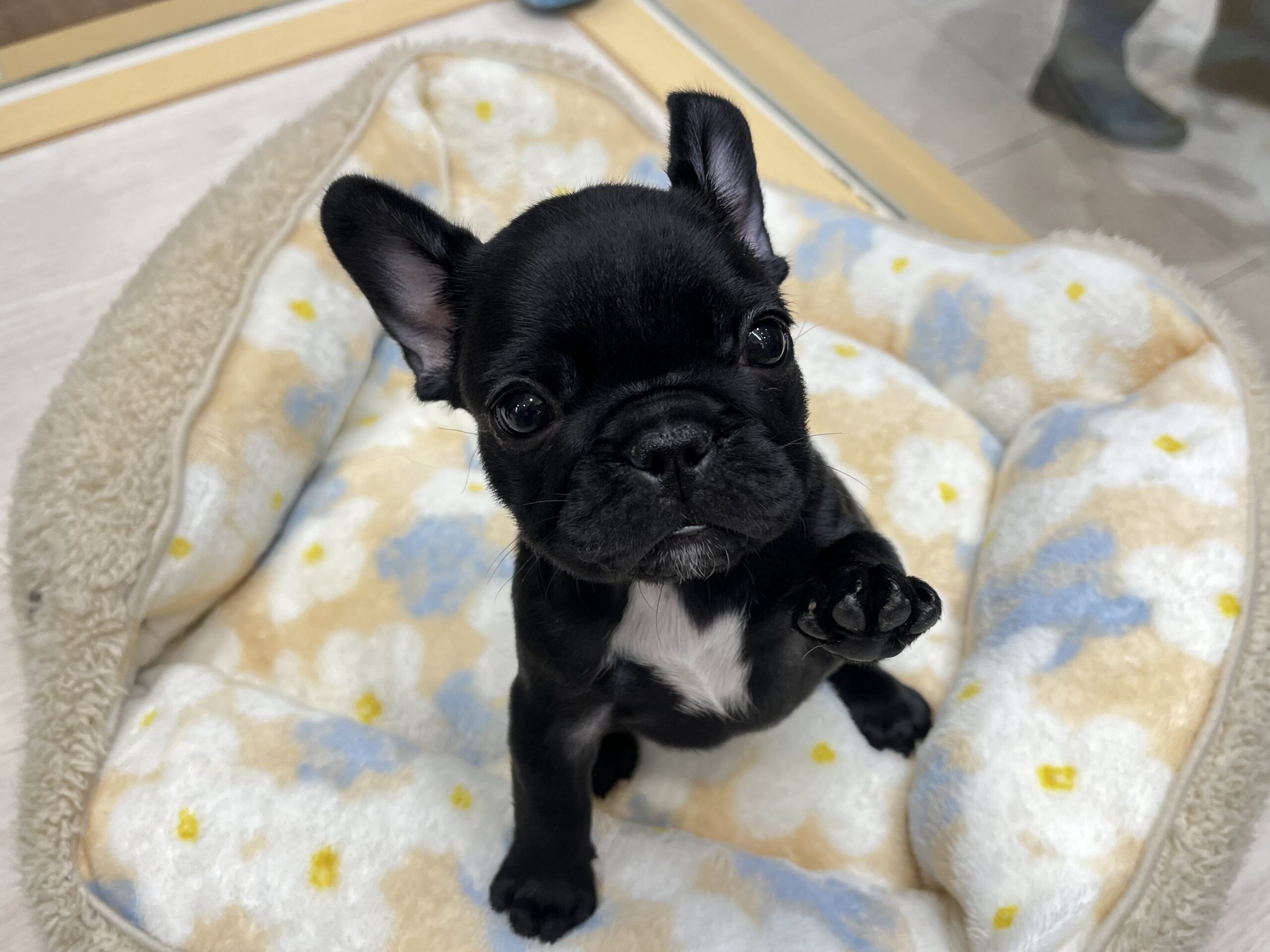 かまってちゃん✨🎀