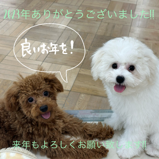 2023年ありがとうございました!!