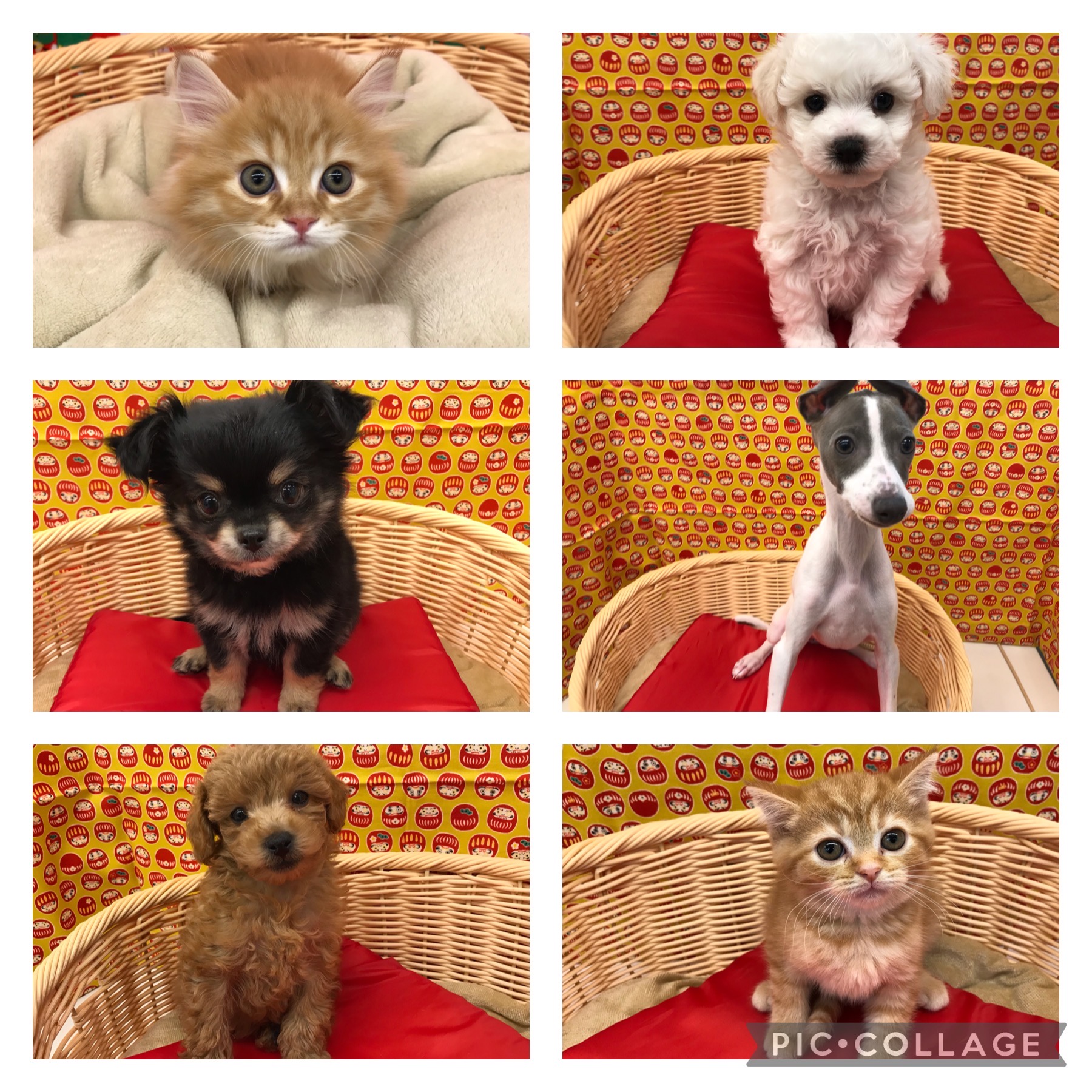 ☆２０２３年お世話になりました☆