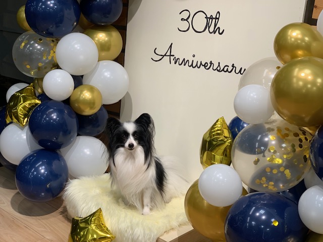 ★Anniversary FESTA開催！★