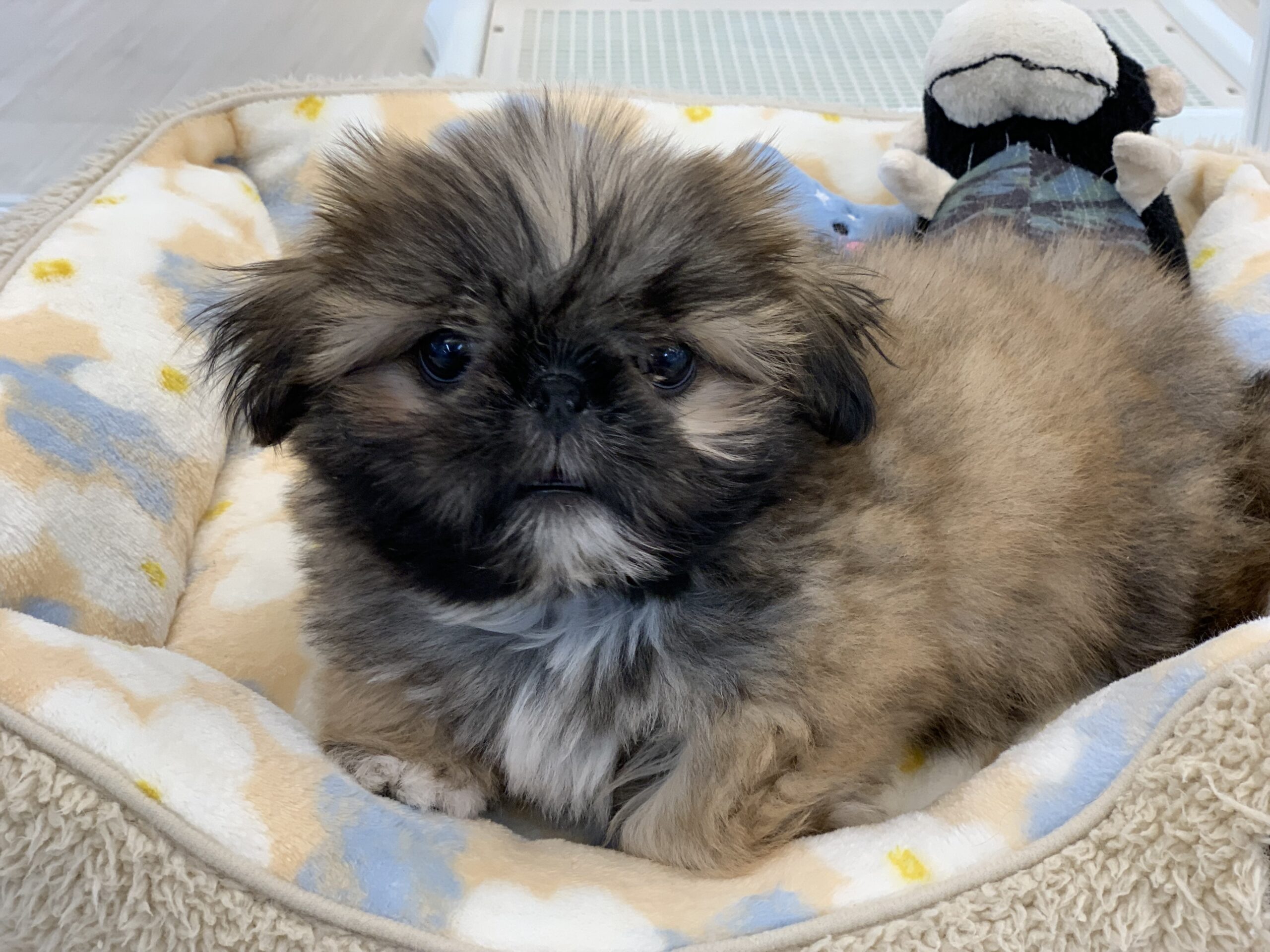 ２０２３年もご利用ありがとうございました☆彡