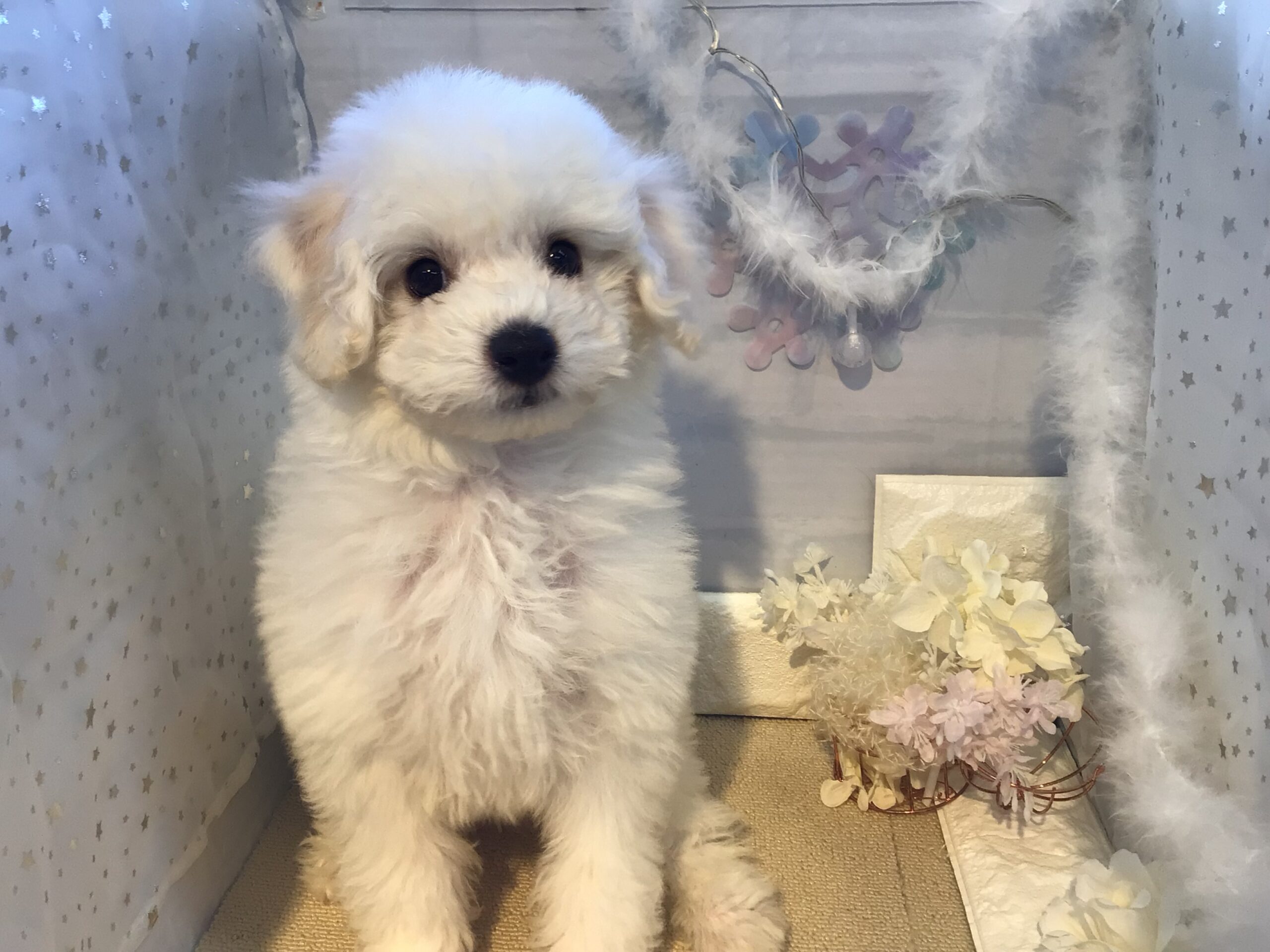 ☆☆元気いっぱい☆☆