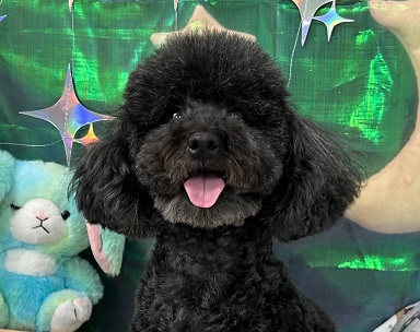 ★トリミング ❤