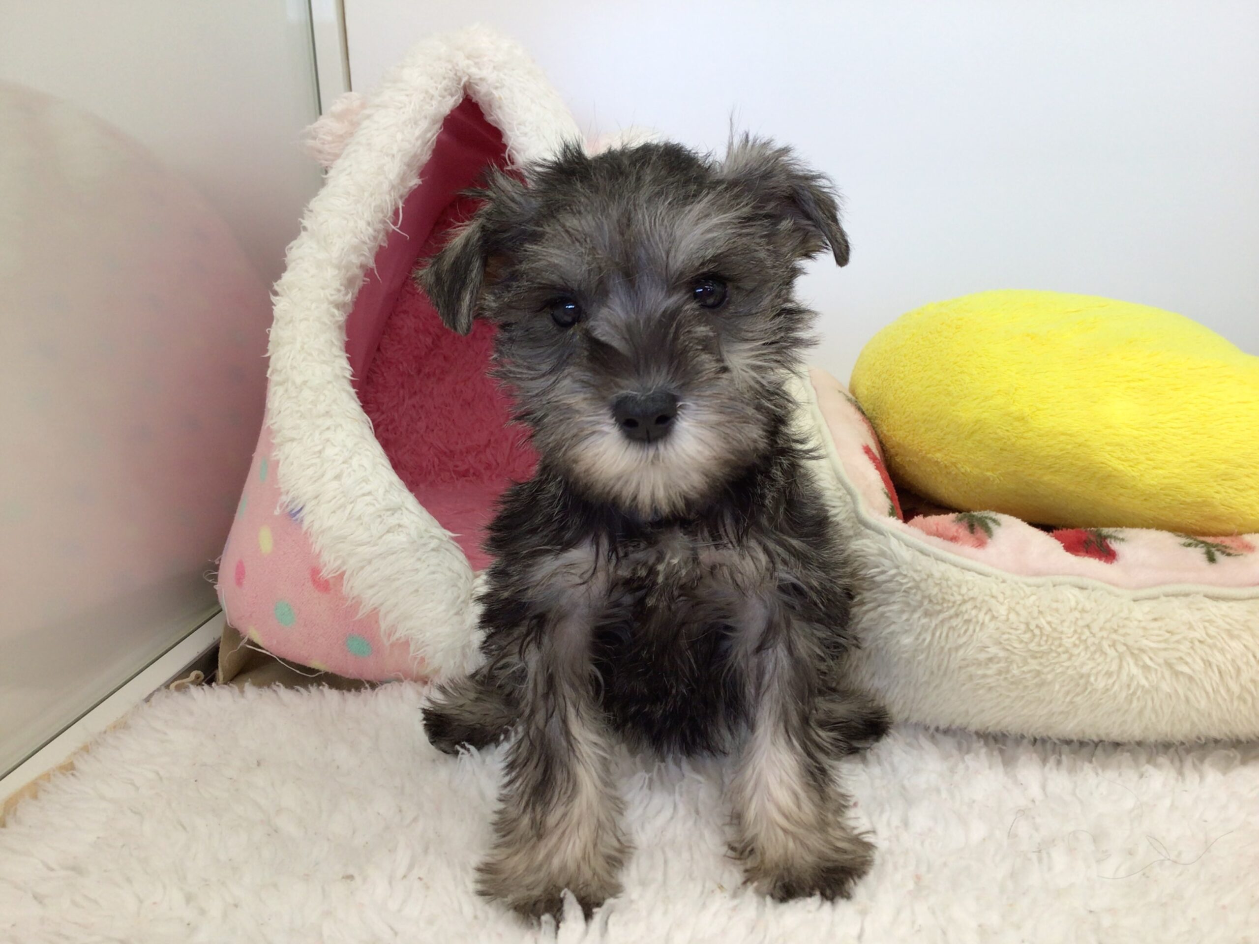 ♡♡福住店仲間入り♡♡