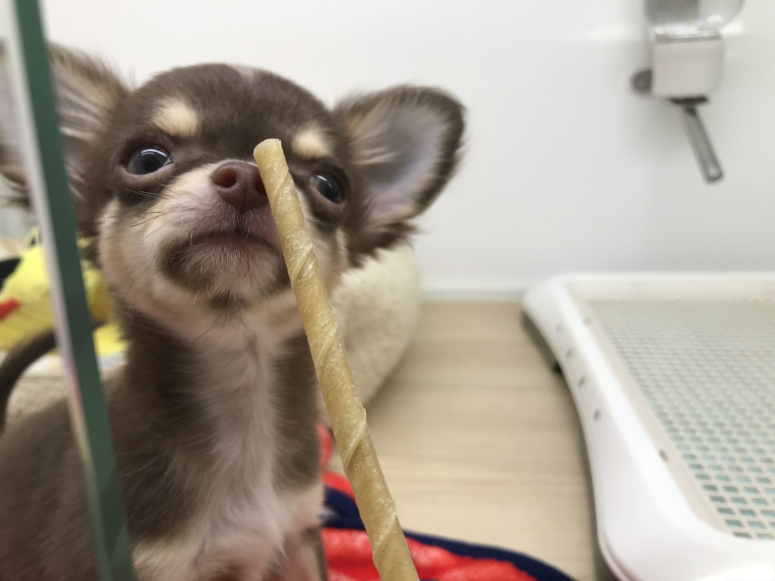 お家が決まりました✨