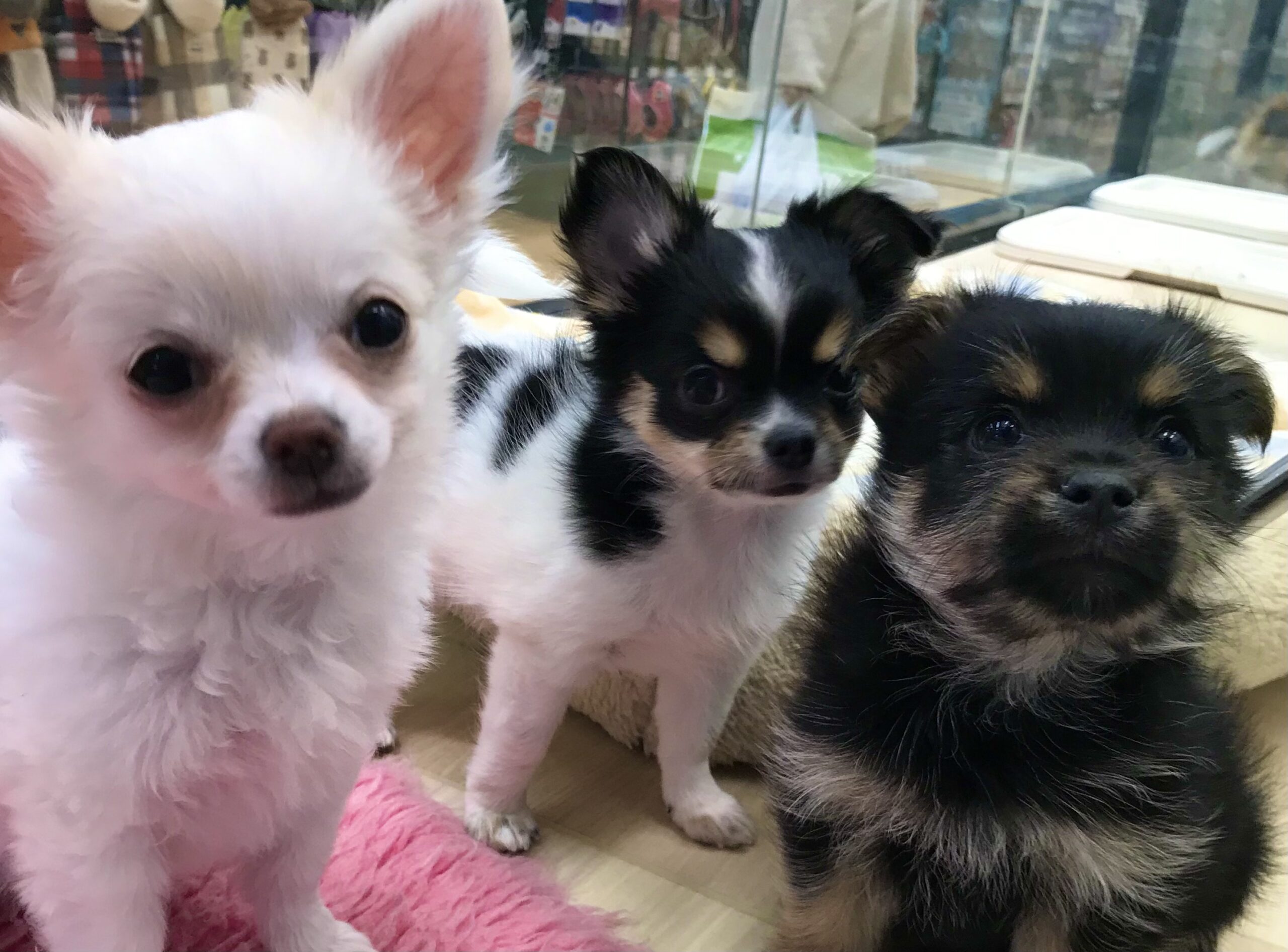 今年１年ありがとうございました。