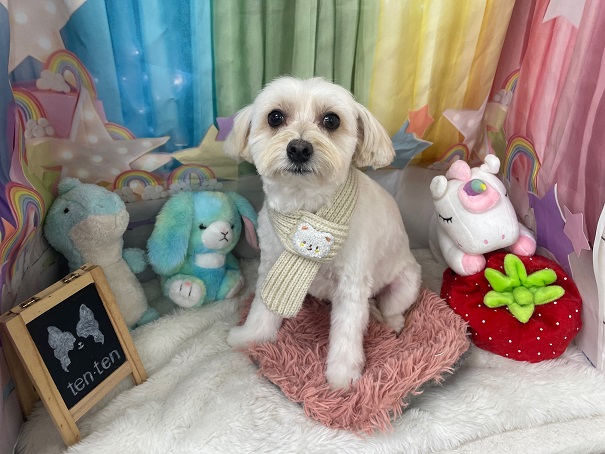 北４１条店　トリミング✨