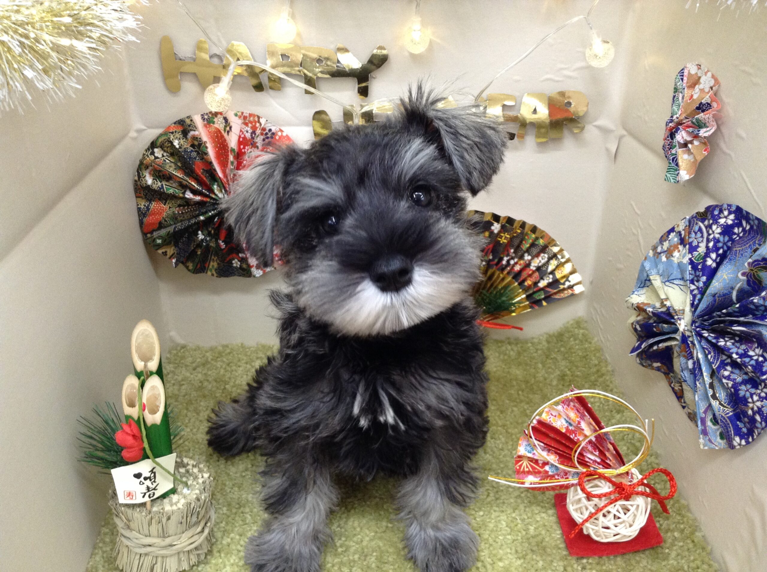 バトンタッチ🌟