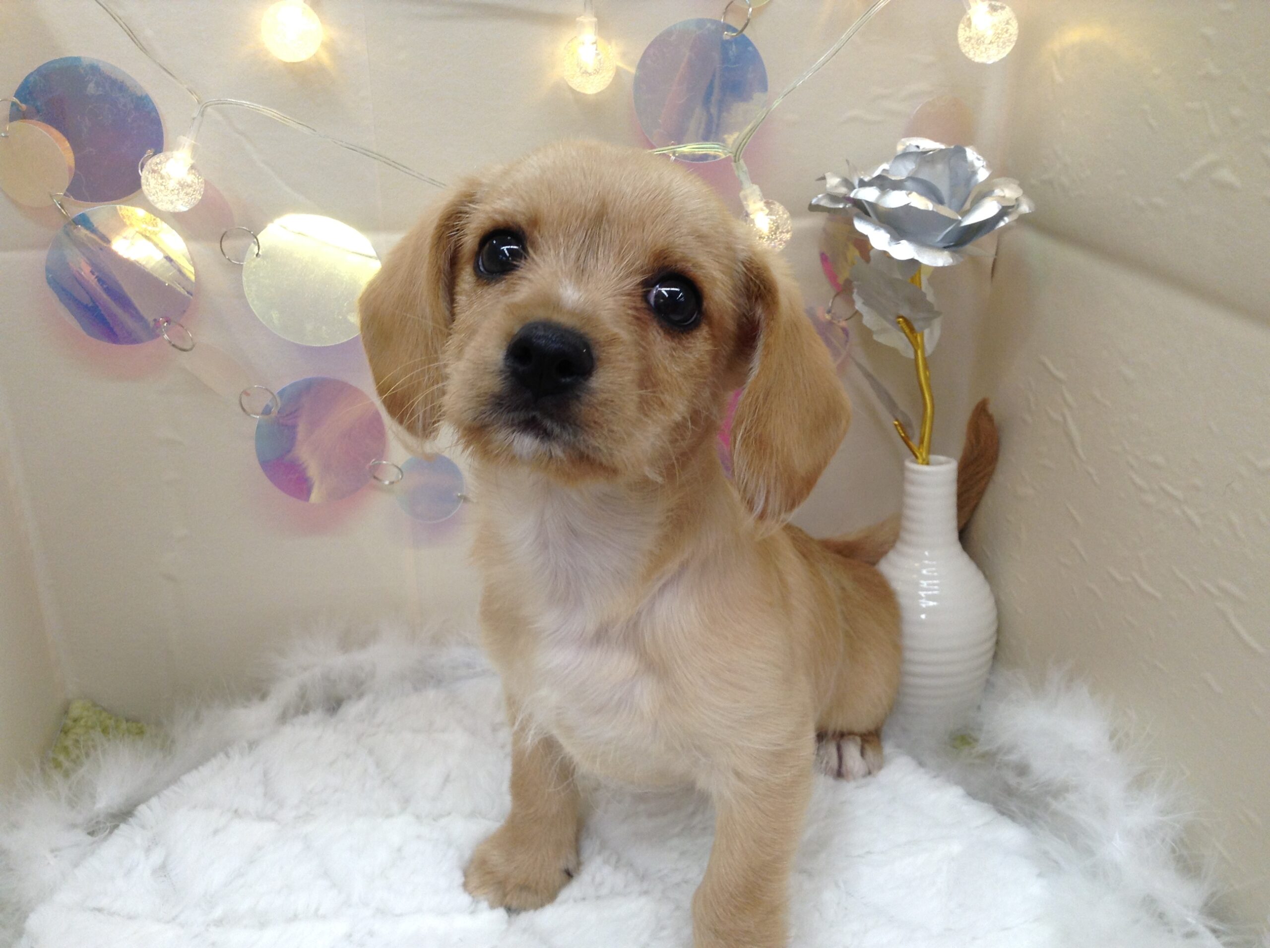 バトンタッチ✋✨