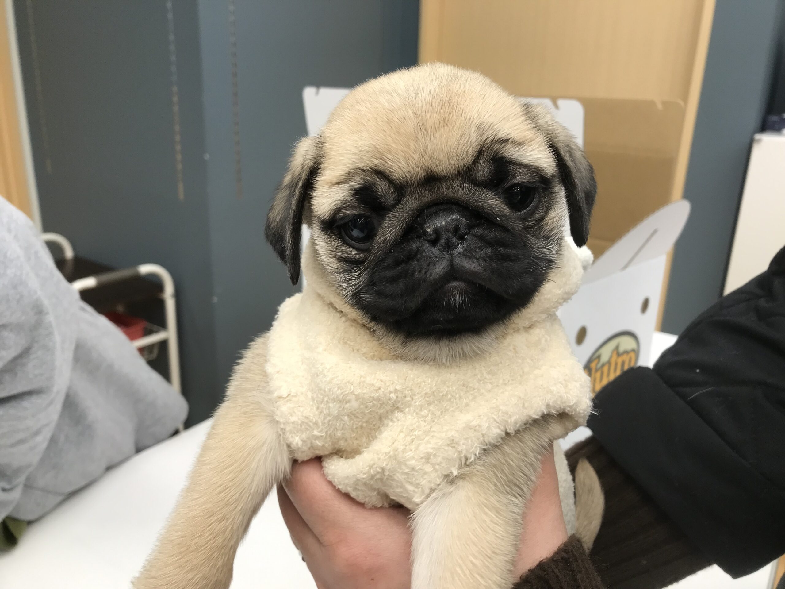 ☆お家決まりました☆