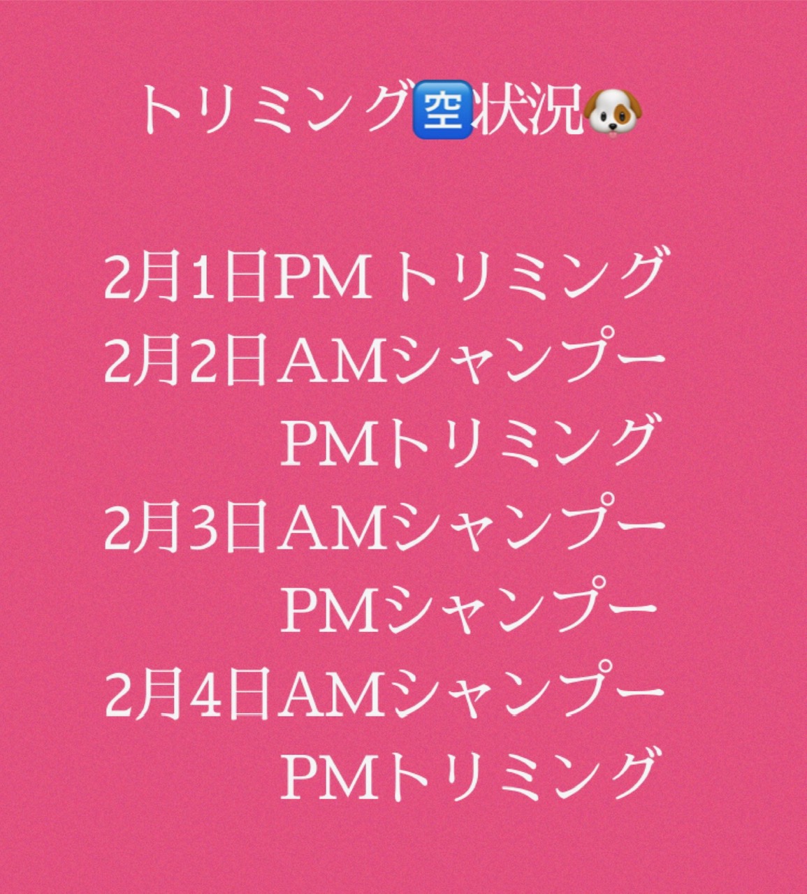 手稲店トリミング空き状況✂