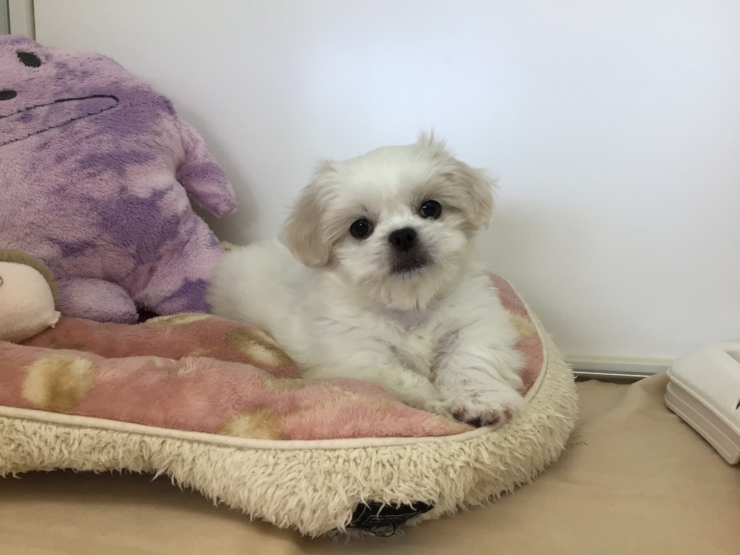 福住店仲間入り♡♡