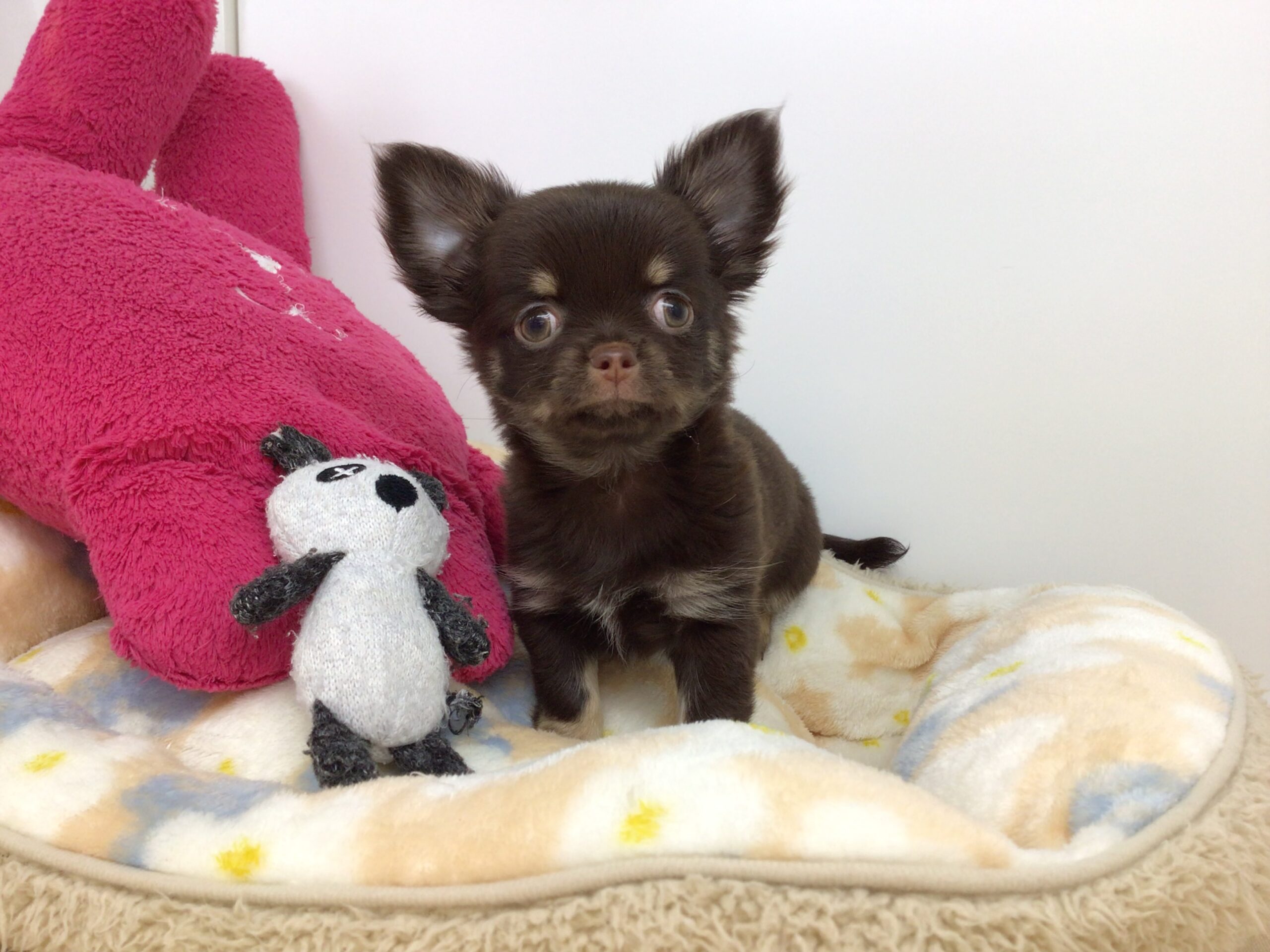 福住店仲間入り♡♡