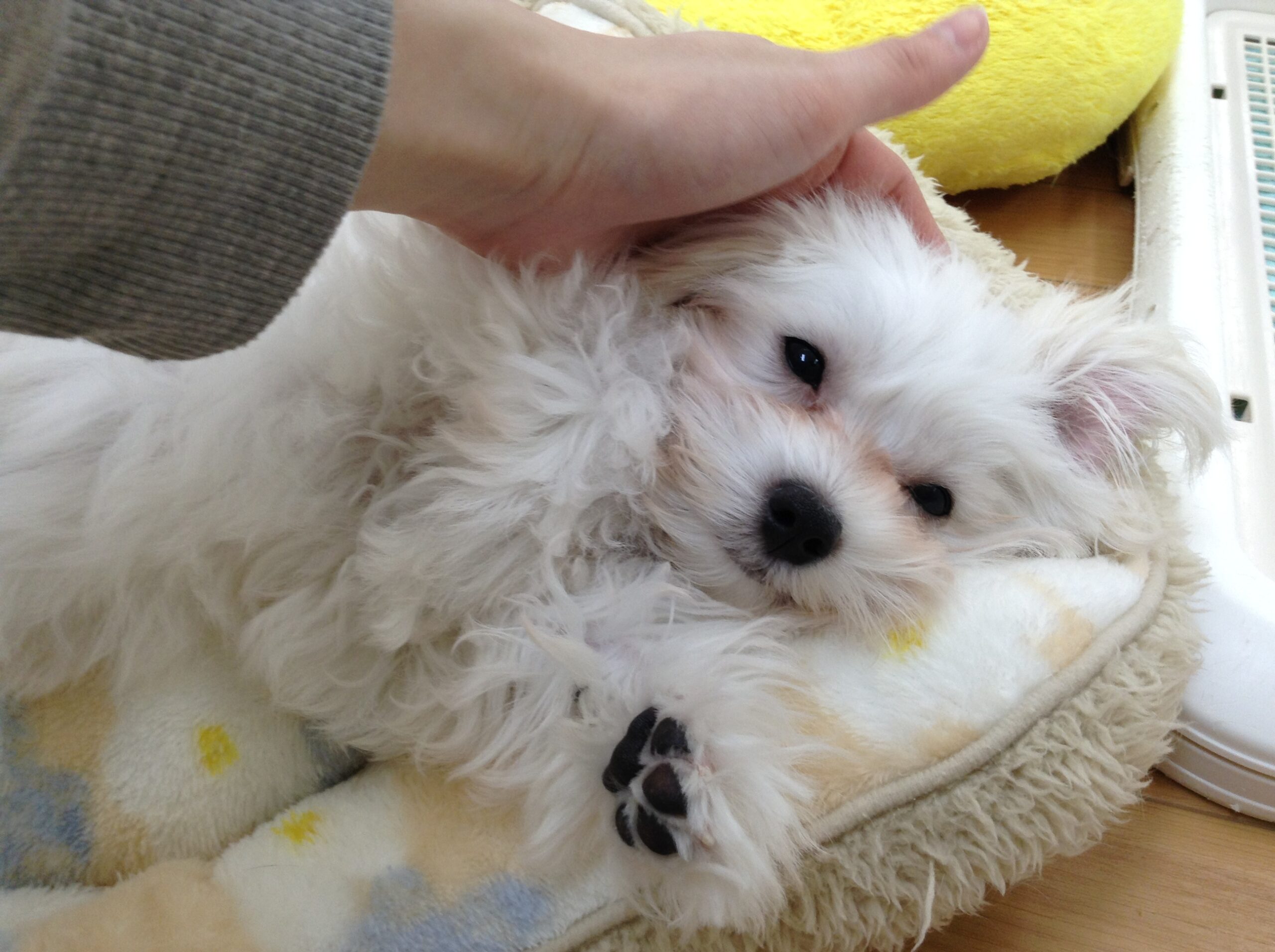 ♡ＮＥＷ　ＦＡＣＥ♡