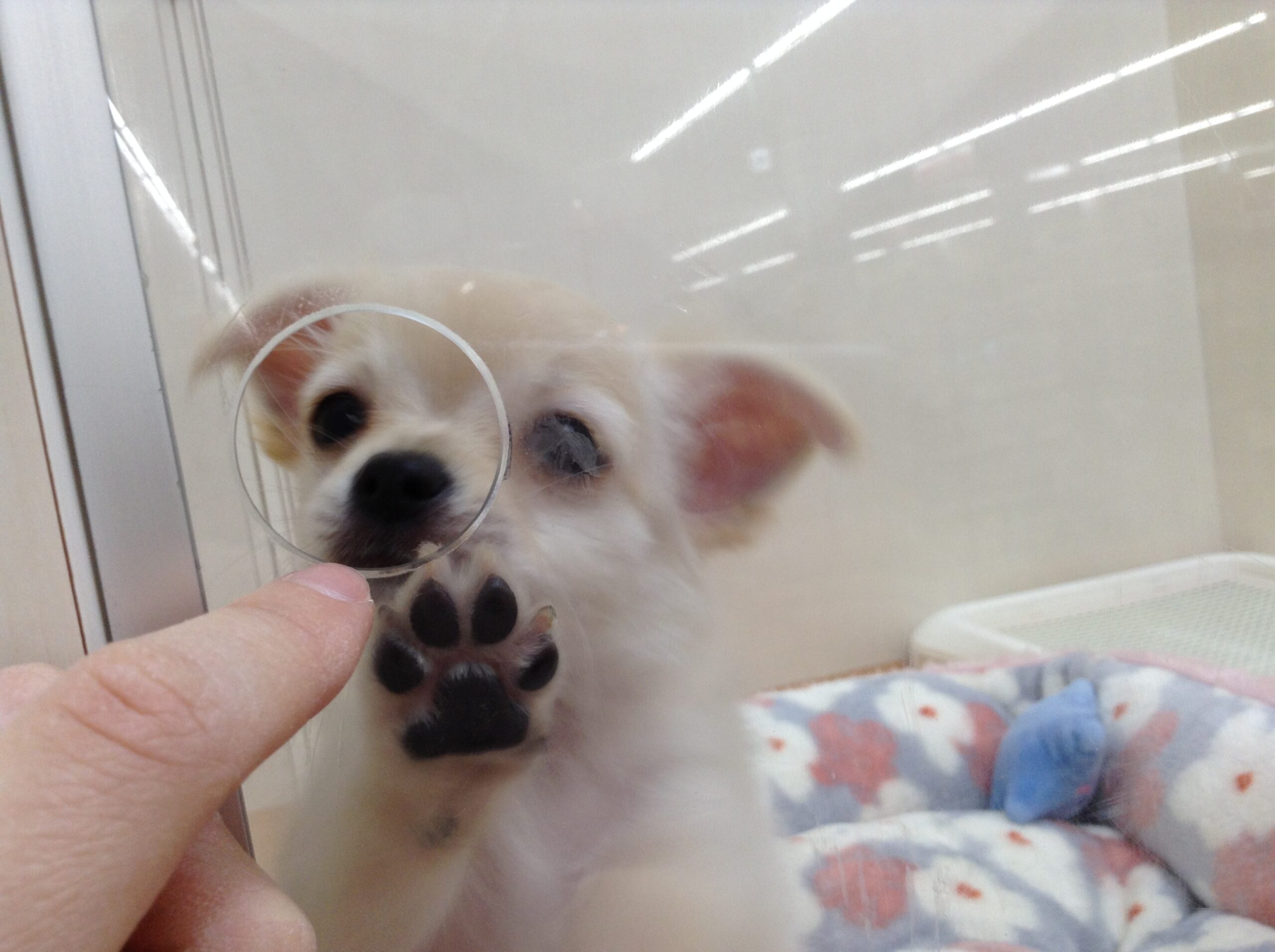 バトンタッチ☆