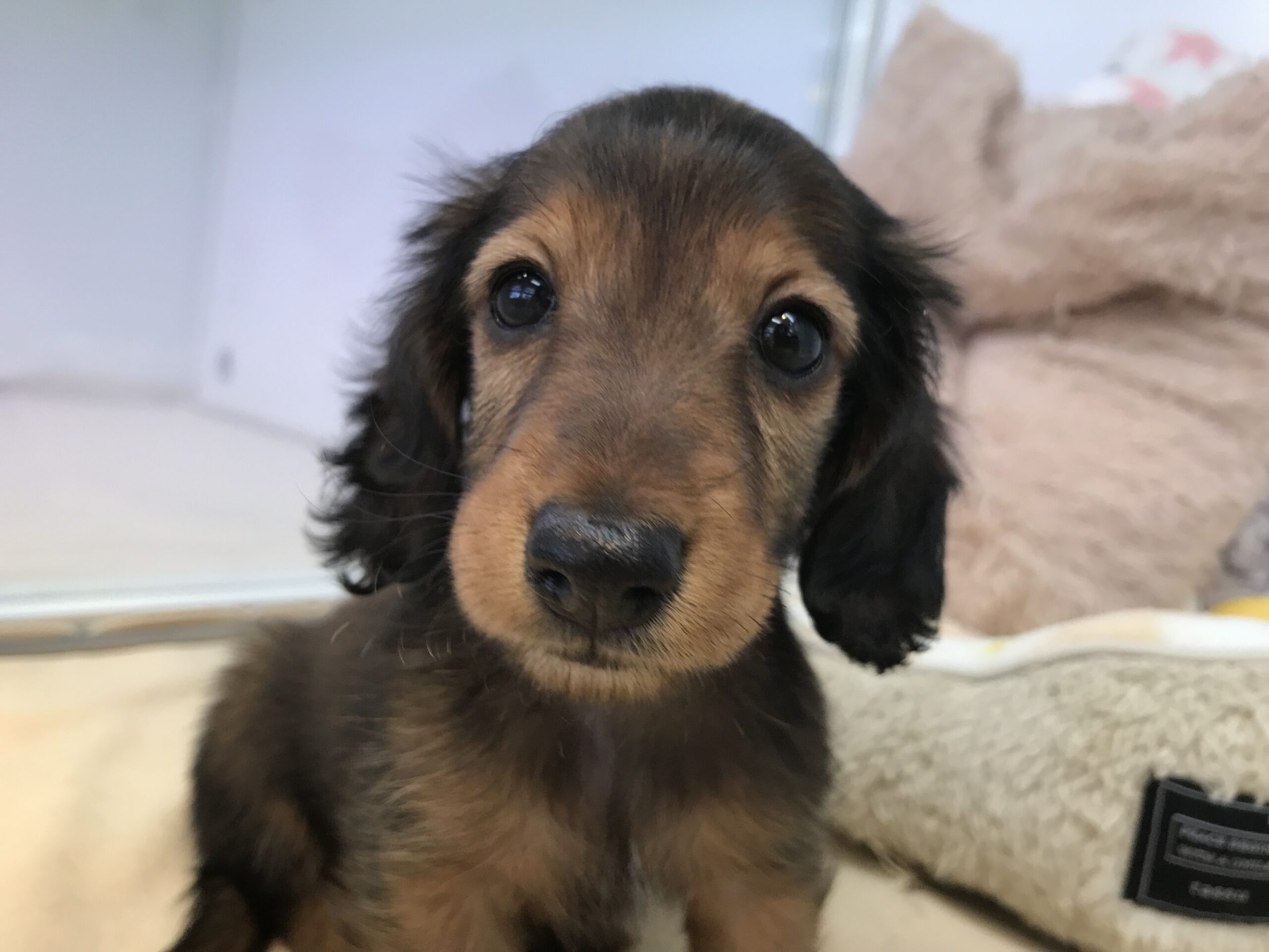 ♡♡だっくん♡♡