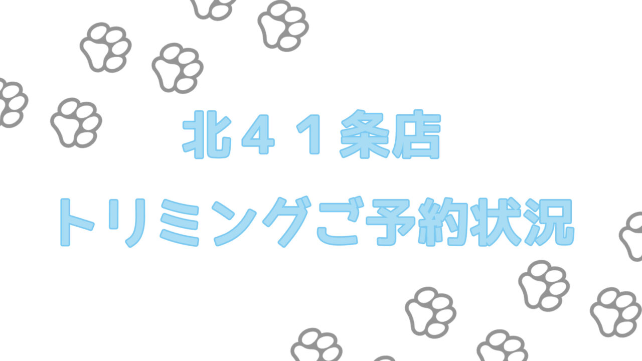 トリミングご予約状況について