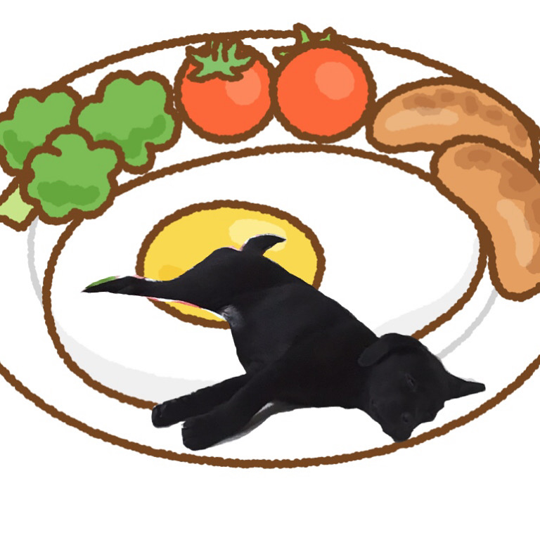 ☆お引越し、NEWおすすめ犬☆