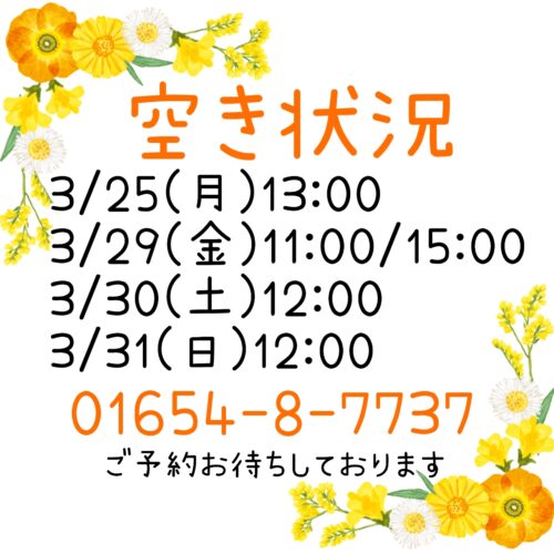 トリミング空き状況！