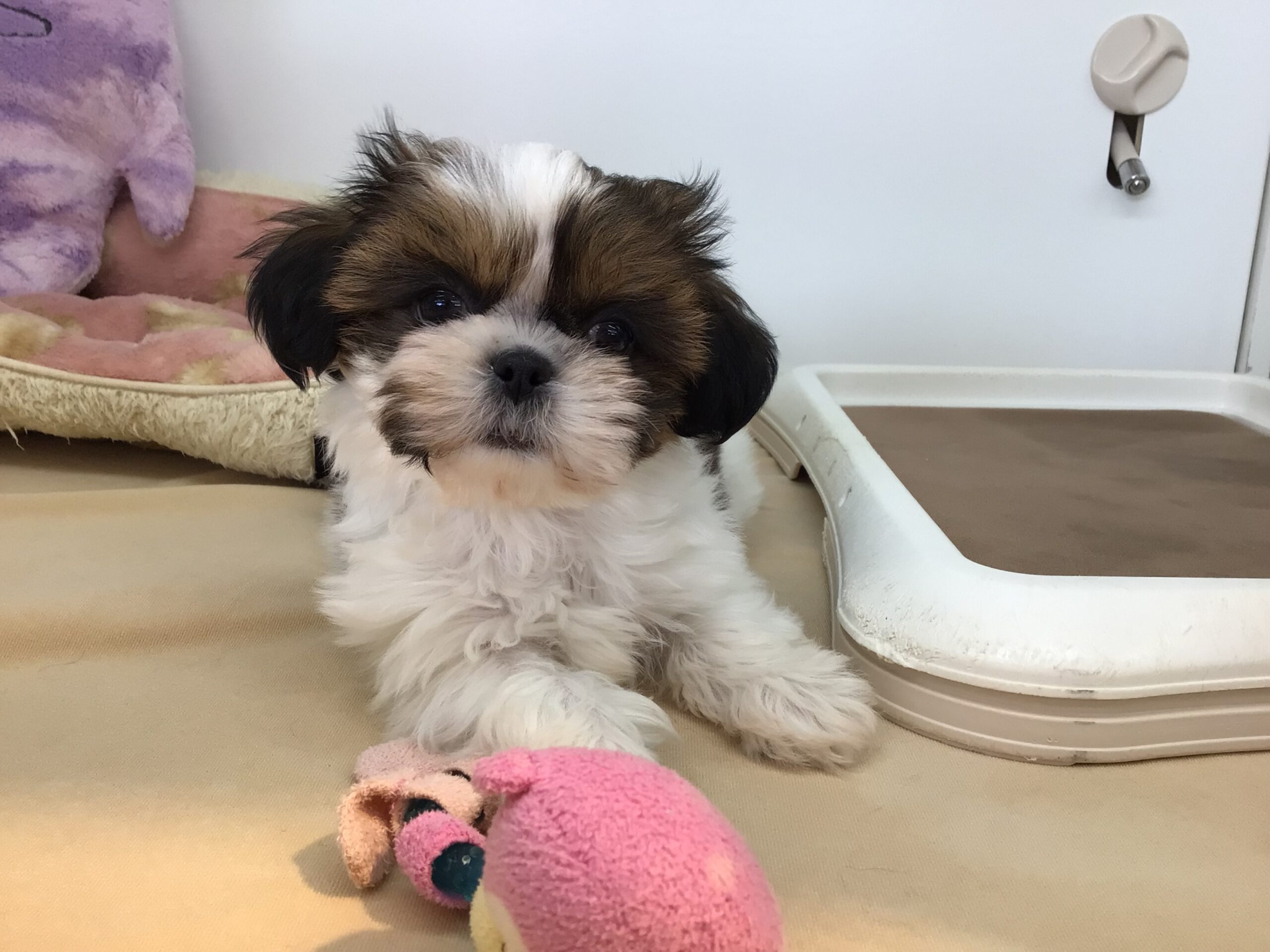 しーちゃん♡♡